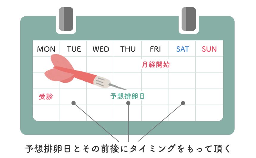 タイミング治療とは？皆さん、「タイミング合わせ」はご存じですか？妊娠は排卵日に性交を持つことで成立します。この排卵日に性交を持つことを「タイミング合わせ」といいます。 ご夫婦で実践されてももちろんいいですし、通院しながら行う場合もあり、その場合は「タイミング治療」といいます。