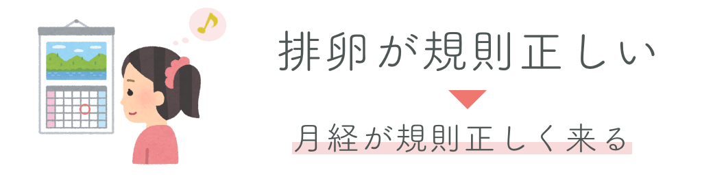 排卵が規則正しい→月経が規則正しく来る